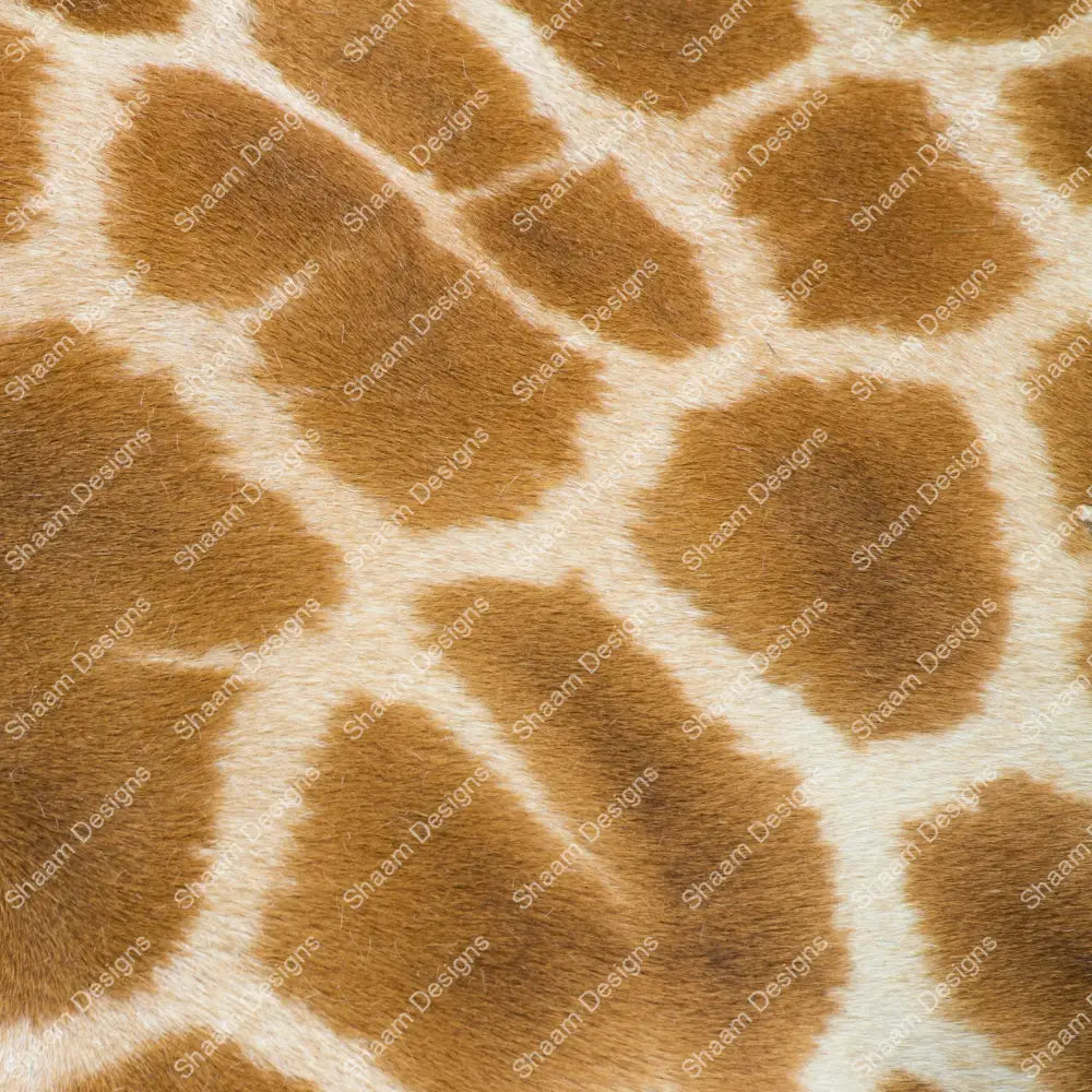 12 Melvin Vinyl Wraps