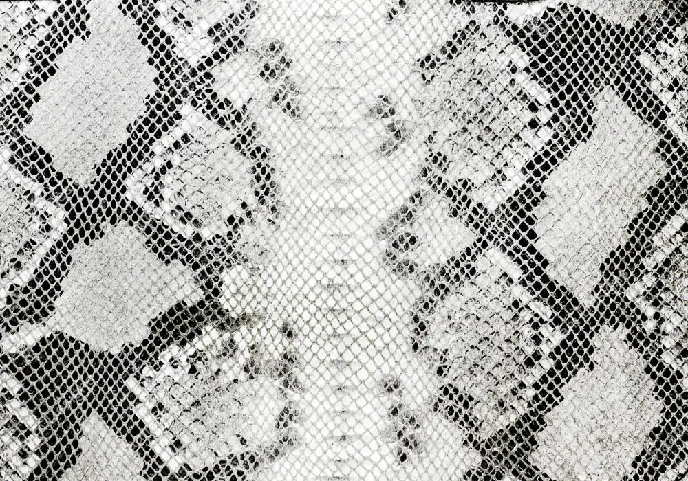 12 Snake 11 Vinyl Wraps