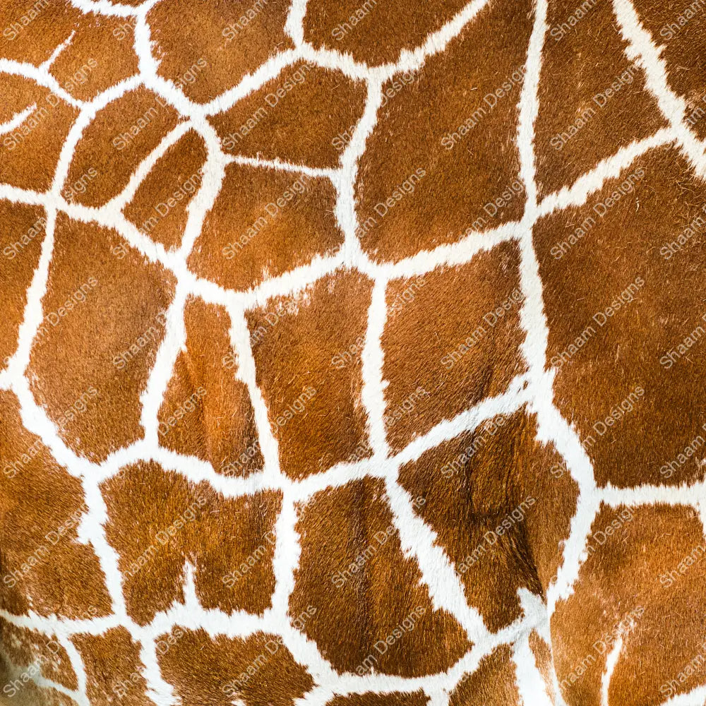 12 Chyna Vinyl Wraps