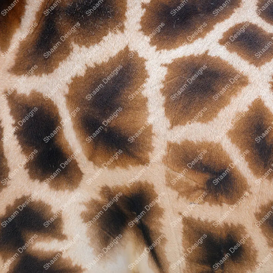 12 Giraffe Fir Vinyl Wraps