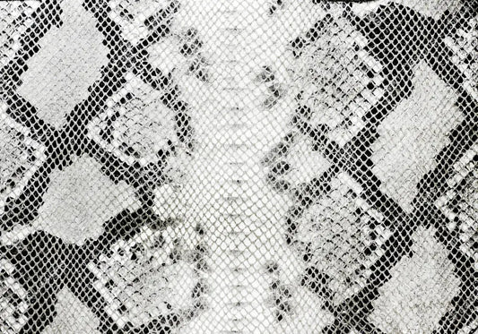 12 Snake 11 Vinyl Wraps