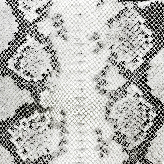 12 Snake 2 Vinyl Wraps