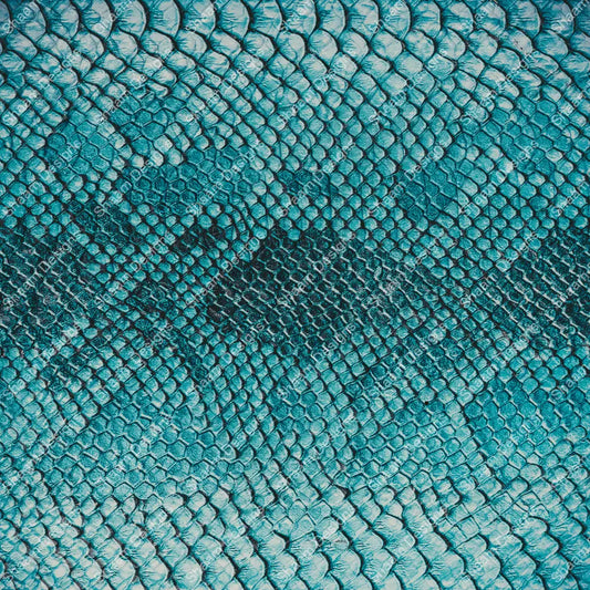 12 Snake 3 Vinyl Wraps