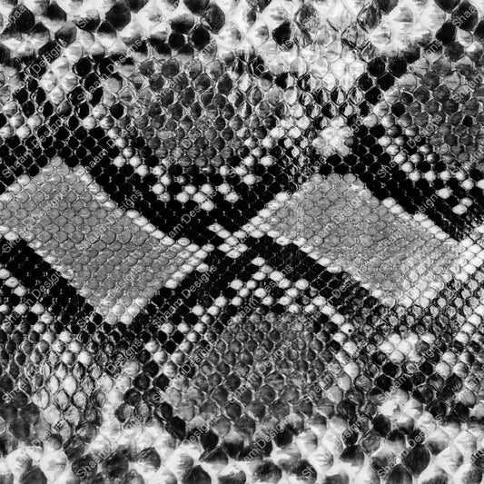 12 Snake 4 Vinyl Wraps