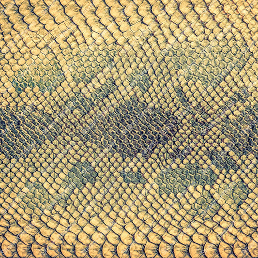 12 Snake 6 Vinyl Wraps