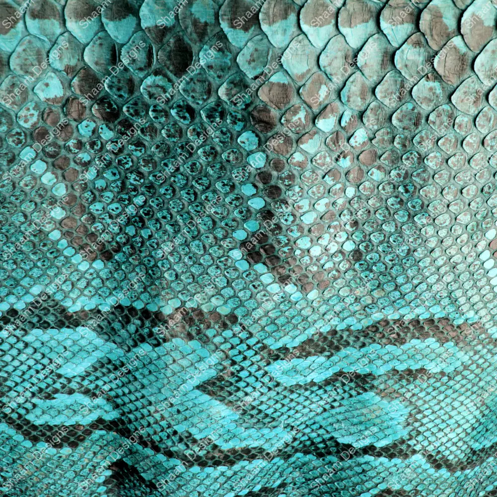 12 Snake 7 Vinyl Wraps