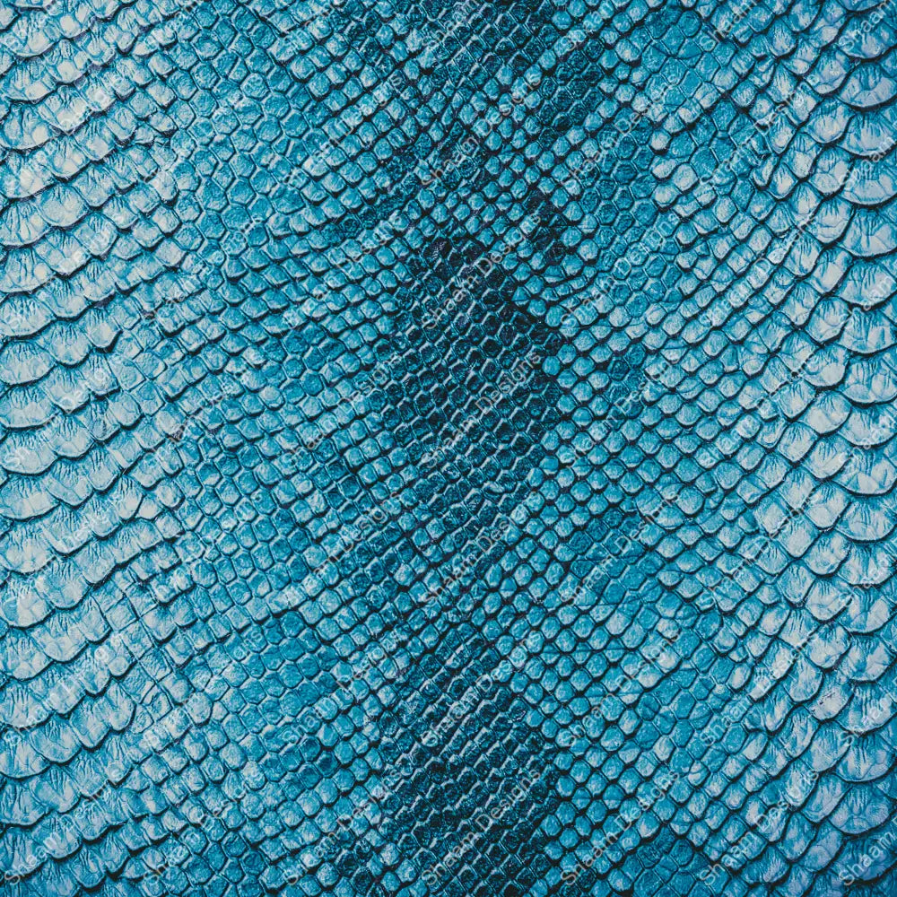 12 Snake 9 Vinyl Wraps