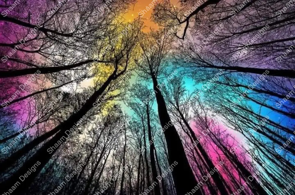 24 Look Up Vinyl Wraps